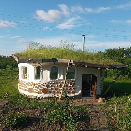 Сказочный Дом Villa Buki  Buitenkant foto